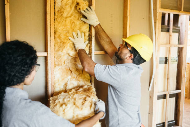 Eco-Friendly or Green Insulation Solutions in Heritage Lake, IL